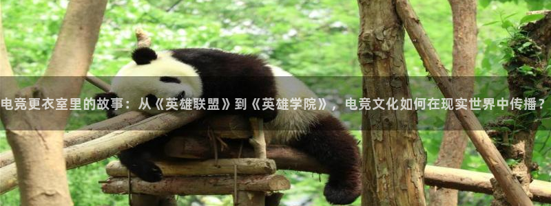 必赢电竞：电竞更衣室里的故事：从《英雄联盟》到《英雄学院》，电竞文化如何在现实世界中传播？