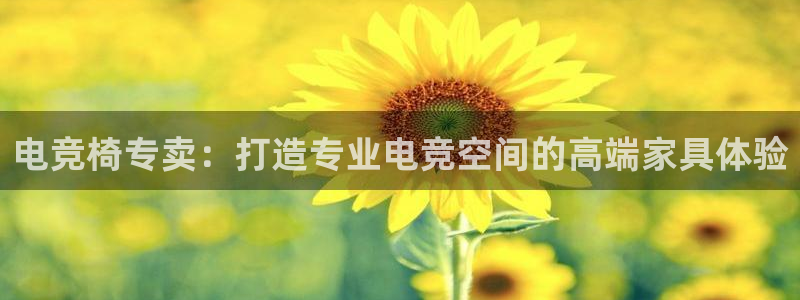 必赢电竞最新比赛：电竞椅专卖：打造专业电竞空间的高端家具体验