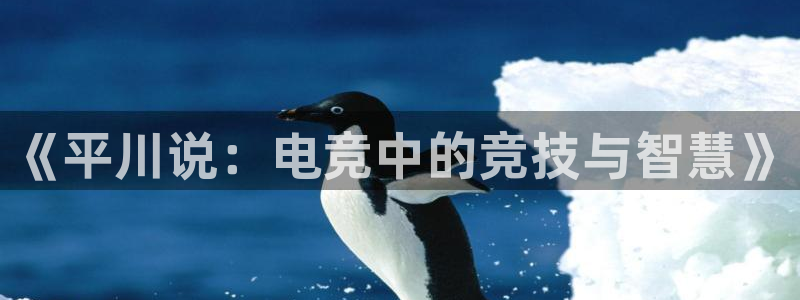 必赢电竞：《平川说：电竞中的竞技与智慧》