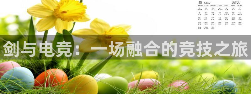 必赢电竞：剑与电竞：一场融合的竞技之旅