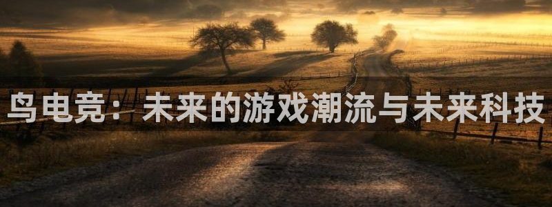 必赢电竞：鸟电竞：未来的游戏潮流与未来科技