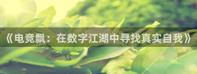必赢电竞：《电竞飘：在数字江湖中寻找真实自我》
