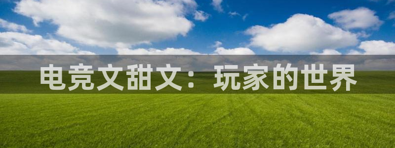 必赢电竞：电竞文甜文：玩家的世界