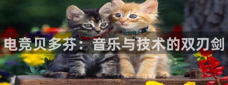 必赢电竞：电竞贝多芬：音乐与技术的双刃剑