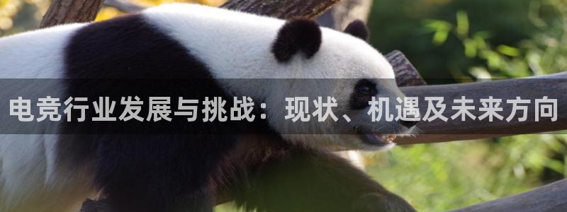 必赢电竞：电竞行业发展与挑战：现状、机遇及未来方向